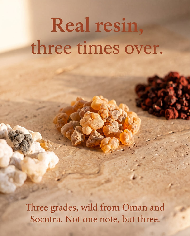 The Three Kings