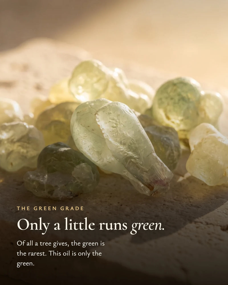 The rare jade-green frankincense grade