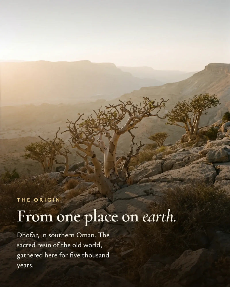 Dhofar, Oman, the Land of Frankincense