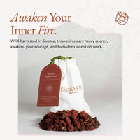 Sokotrańska Smocza Krew