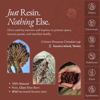 Sokotrańska Smocza Krew