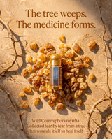 Myrrh Essential Oil