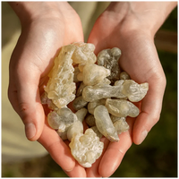 Sultan's Jade Frankincense