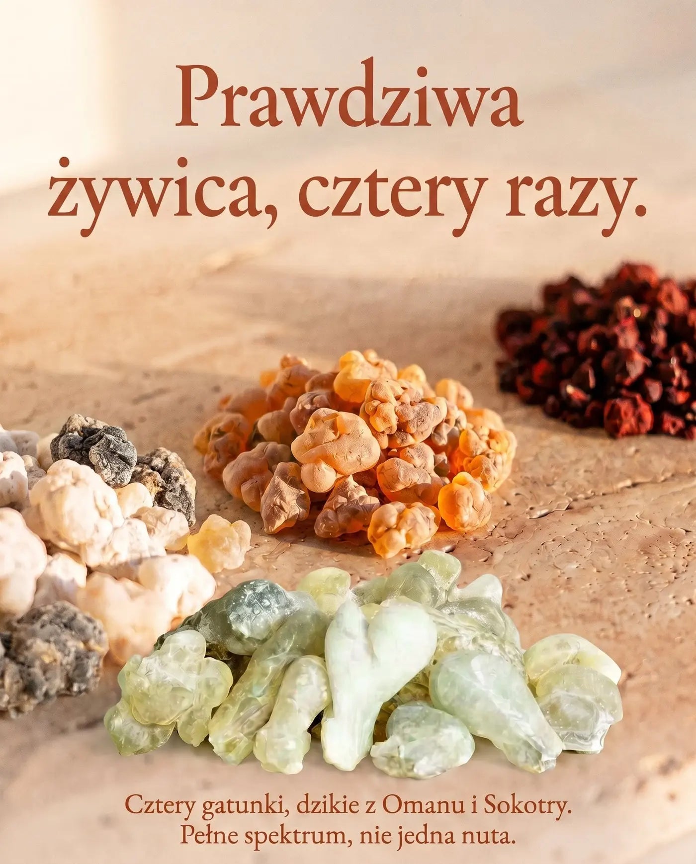 Prawdziwa żywica, cztery razy
