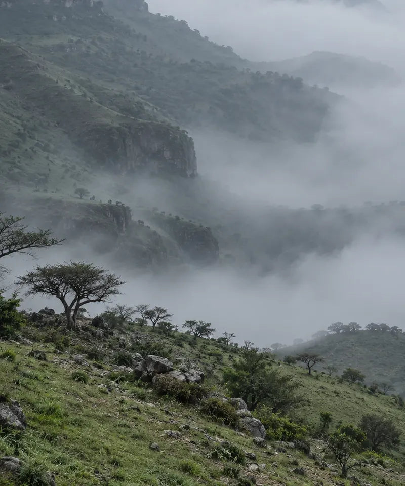 The Dhofar mountains in morning mist