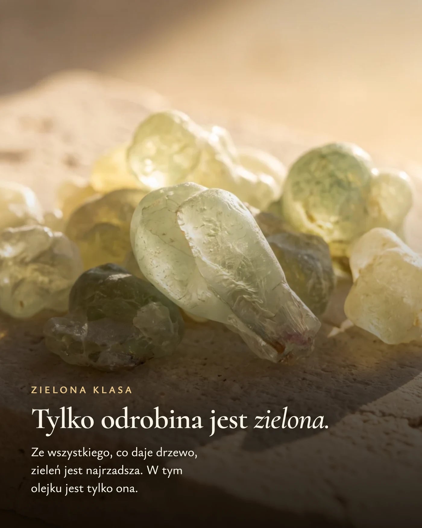 Rzadka, szmaragdowozielona odmiana kadzidła
