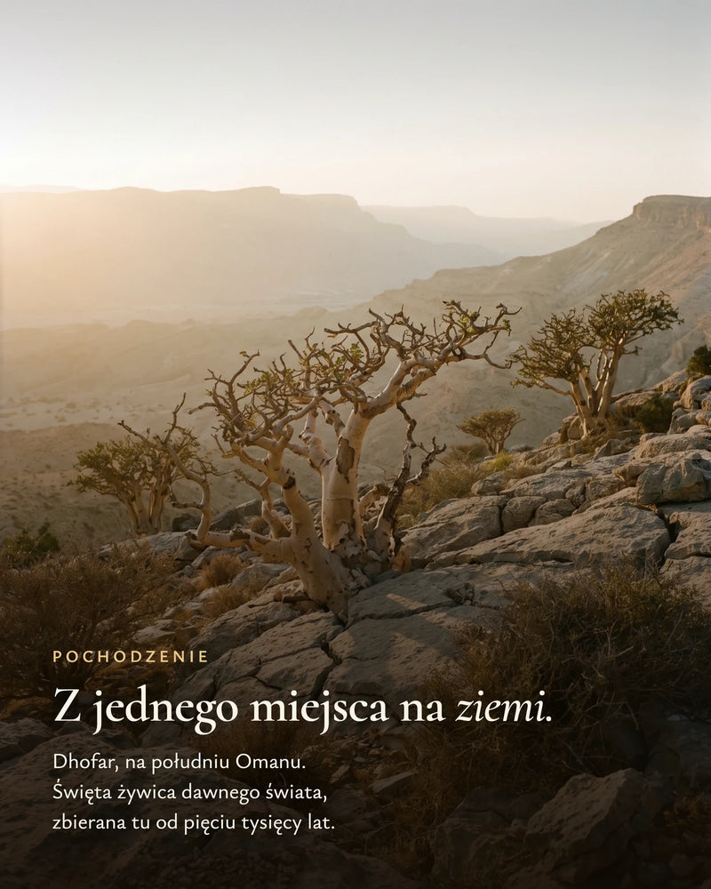 Dhofar w Omanie, Kraina Kadzidła