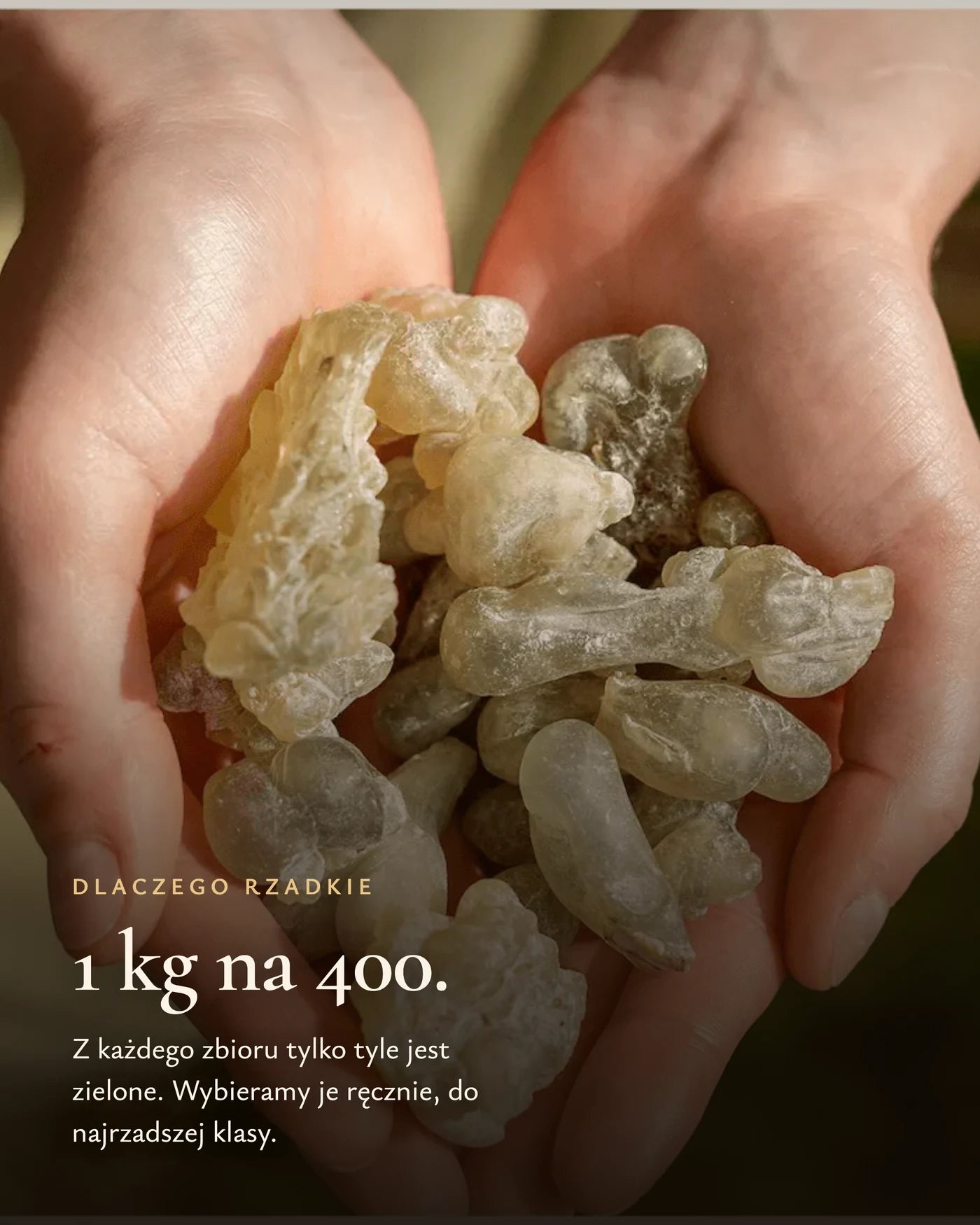 150 gramów zielonej żywicy na 6 ml olejku