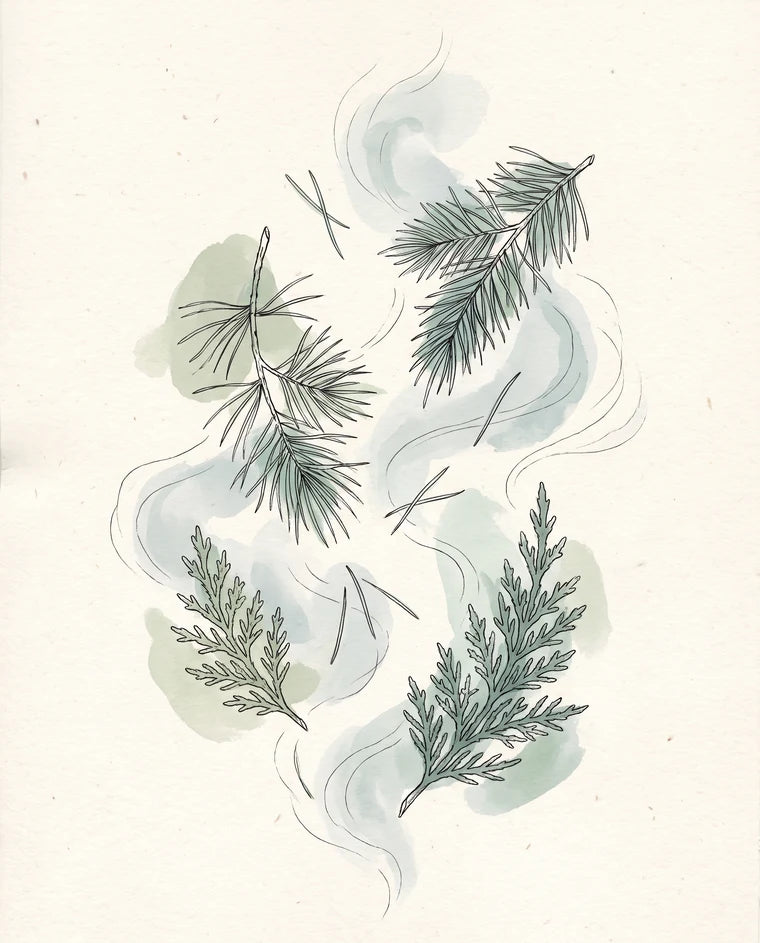 Illustration: a cool, clear, misty conifer air with pine and cedar