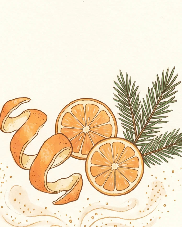 Illustration: sweet orange peel and a green pine sprig in sun-drenched light