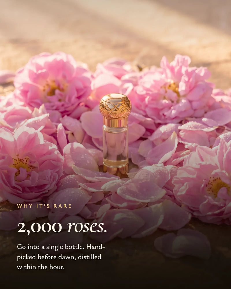 Two thousand roses in a single bottle