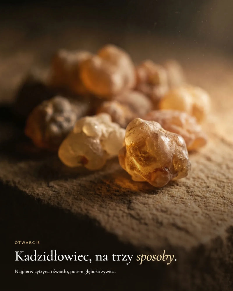 Otwarcie: jasny, cytrynowy kadzidłowiec
